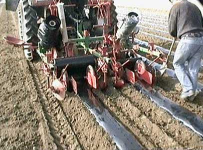 une large gamme de films agricole